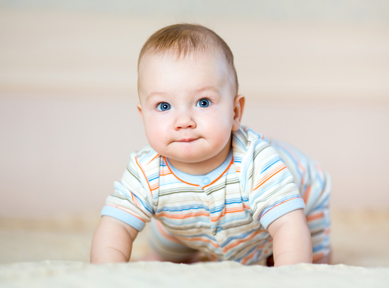Cerebro fibra estudio El gateo | Bebé | 9 - 24 meses | Mi Pediatra | Grupo ICM | Revista de  información sobre salud materno infantil